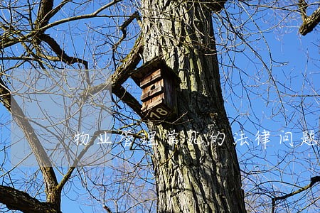 物业管理常见的法律问题探究 物业管理常见的法律问题探究