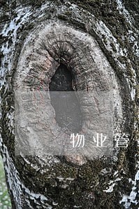 物业管理条例属于民法吗 物业管理条例属于民法吗