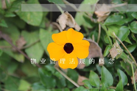 物业管理法规的概念 物业管理法规的概念