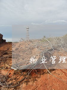 物业管理费新逾期缴纳