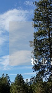 物业管理费用逾期 物业管理费用逾期