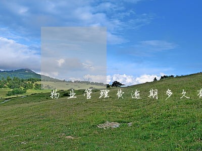 物业管理费逾期多久有滞纳金 物业管理费逾期多久有滞纳金