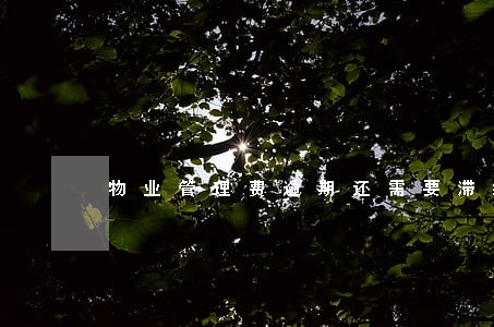 物业管理费逾期还需要滞纳金吗 物业管理费逾期还需要滞纳金吗