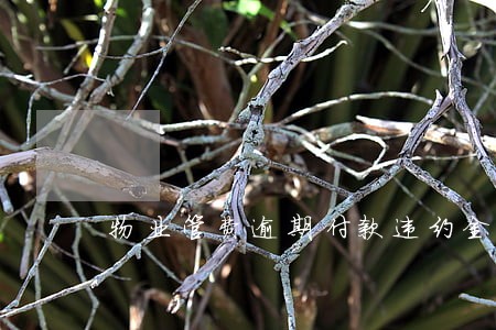 物业管费逾期付款违约金 物业管费逾期付款违约金