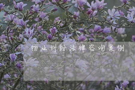物业纠纷法律咨询案例 物业纠纷法律咨询案例