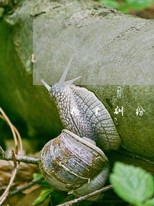 物业纠纷法律咨询解答 物业纠纷法律咨询解答