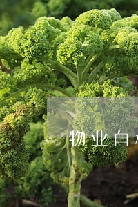 物业自称没责任听律师咋说 物业自称没责任听律师咋说