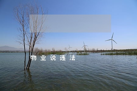 物业说违法 物业说违法
