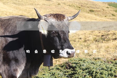 物业费收取法律条文