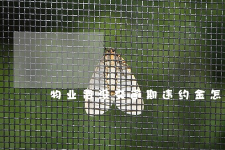 物业费没交逾期违约金怎么算 物业费没交逾期违约金怎么算