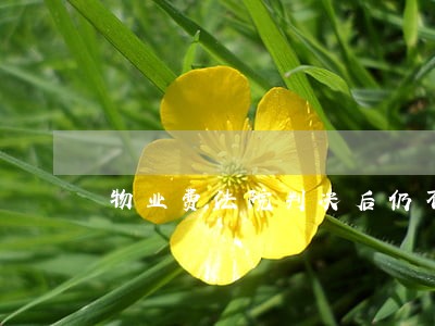 物业费法院判决后仍不交 物业费法院判决后仍不交