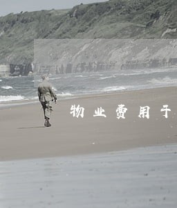 物业费用于其他支出违法吗