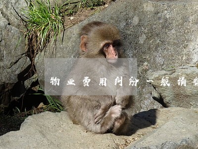 物业费用纠纷一般请律师多少钱 物业费用纠纷一般请律师多少钱