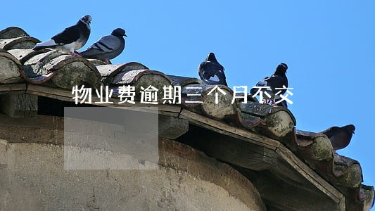物业费逾期三个月不交 物业费逾期三个月不交