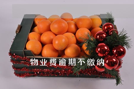 物业费逾期不缴纳 物业费逾期不缴纳
