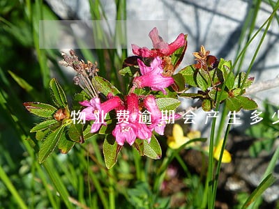 物业费逾期会产生多少费用 物业费逾期会产生多少费用