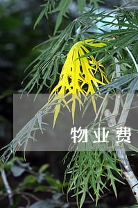 物业费逾期催收方案 物业费逾期催收方案