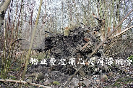 物业费逾期几天有滞纳金吗 物业费逾期几天有滞纳金吗