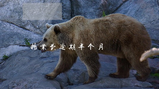 物业费逾期半个月