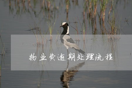 物业费逾期处理流程