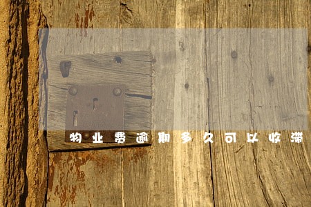 物业费逾期多久可以收滞纳金 物业费逾期多久可以收滞纳金
