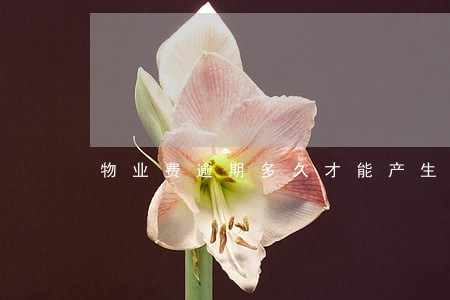 物业费逾期多久才能产生违约金 物业费逾期多久才能产生违约金