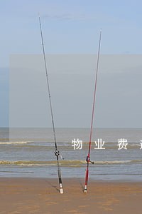 物业费逾期多久需要交滞纳金吗