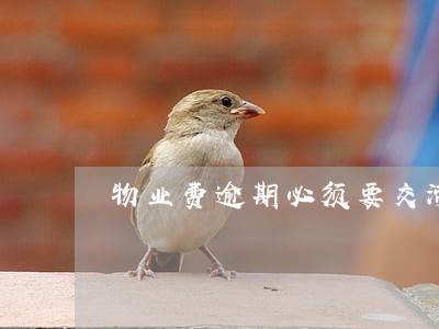 物业费逾期必须要交滞纳金吗 物业费逾期必须要交滞纳金吗