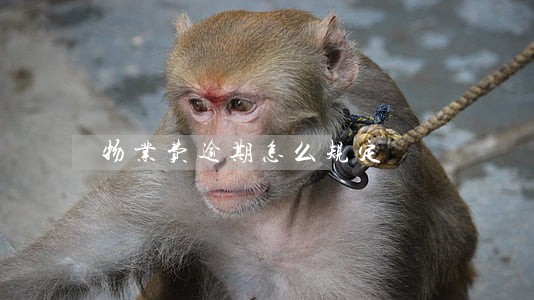 物业费逾期怎么规定 物业费逾期怎么规定