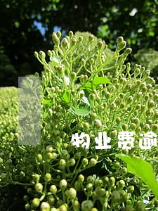 物业费逾期怎么解决 物业费逾期怎么解决