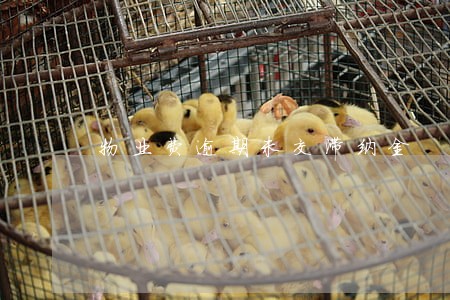 物业费逾期未交滞纳金 物业费逾期未交滞纳金