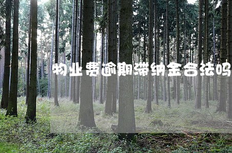 物业费逾期滞纳金合法吗 物业费逾期滞纳金合法吗