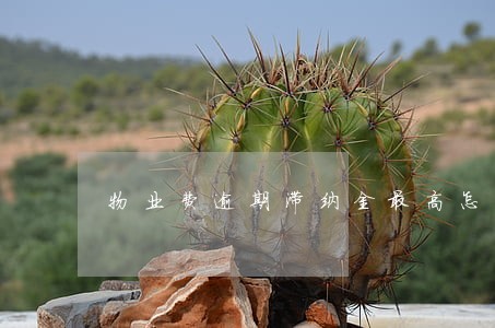 物业费逾期滞纳金最高怎么算 物业费逾期滞纳金最高怎么算