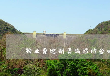 物业费逾期要收滞纳金吗 物业费逾期要收滞纳金吗