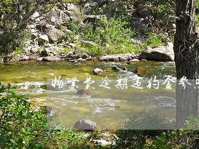 物业费逾期违约金参照标准 物业费逾期违约金参照标准
