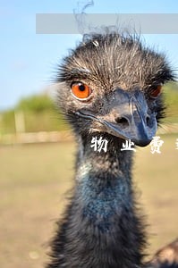 物业费逾期通知书 物业费逾期通知书