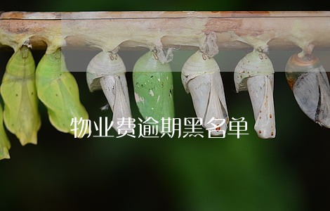 物业费逾期黑名单 物业费逾期黑名单