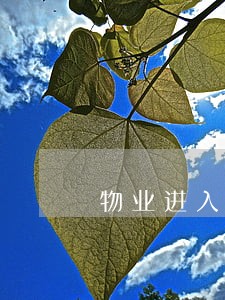 物业进入租户家里是否违法 物业进入租户家里是否违法