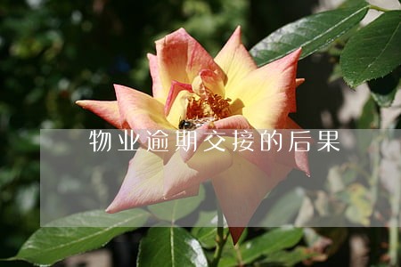 物业逾期交接的后果
