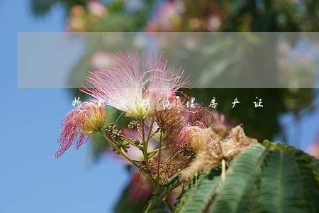 物业逾期办理房产证 物业逾期办理房产证