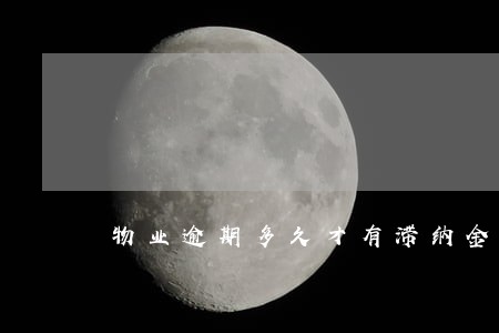 物业逾期多久才有滞纳金 物业逾期多久才有滞纳金
