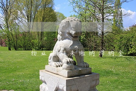 物业逾期未缴纳滞纳金 物业逾期未缴纳滞纳金