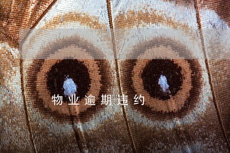 物业逾期违约 物业逾期违约