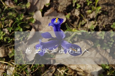 物业阻止法院进入 物业阻止法院进入