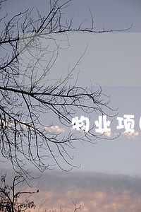 物业项目招标逾期违约 物业项目招标逾期违约
