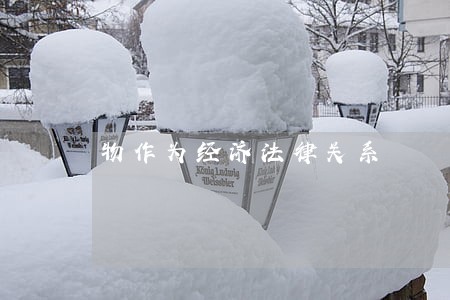 物作为经济法律关系