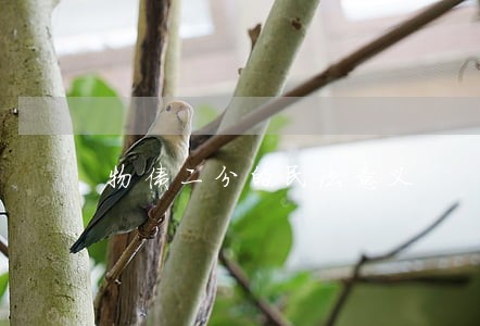 物债二分的民法意义 物债二分的民法意义