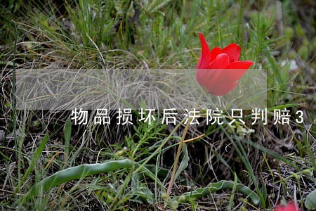 物品损坏后法院只判赔300元 物品损坏后法院只判赔300元