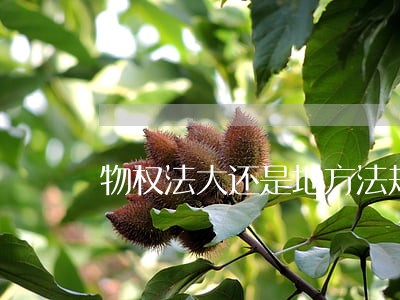 物权法大还是地方法规大 物权法大还是地方法规大