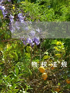 物权法规定房屋空置6个月 物权法规定房屋空置6个月